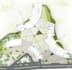 do your architectural site plan or master plan