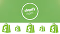 be your shopify developer and expert
