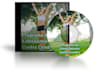 seo Backlinks