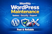 provide monthly wordpress website maintenance and support