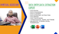 do excel data entry, PDF to excel, data entry, copy paste, virtual assist