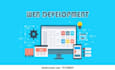 develop customized web application