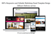 design editable mailchimp template within 24hours