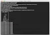 install or reinstall, renew SSL certificate, certbot