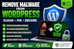 remove malware from wordpress and fix hacked website professionally
