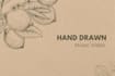 create unique animated hand drawn  music video