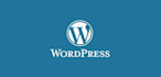 design and develop a professional wordpress website