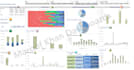 create excel dashboards, excel visualization, charts, graph