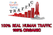 drive unique 10 000 real target USA visitors every day for 1 month