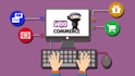 develop a professional wordpress site