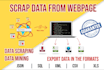 scrap data from any website for you
