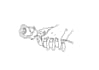 make a custom line illustration
