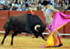 send you a postcard from spain