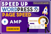 do wordpress speed optimization in 24 hour
