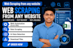 do data scraping or web scraping using excel vba