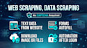 do data scraping or web scraping using excel vba