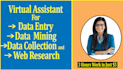 be your virtual assistant for data entry, data mining