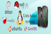 install and harden linux and windows servers cis ad lamp iis