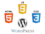 fix any css html javascript issue