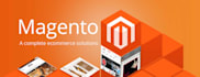fix magento2 errors and customize magento2  ecommerce website