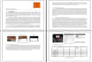write web content, articles, reports, rewriting, portfolio