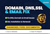 swiftly fix any domain, dns, SSL, email, website issues