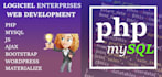 develop and design a complete website with SEO
