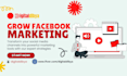 professionally manage and grow your facebook page