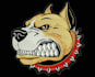 do any image to embroidery digitizing logo like dst,pes,in a few hours