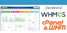 upgrade whmcs, customize modules, and fix any issues
