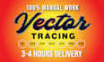 convert your logo or graphic to vectorize, recreate, vector trace