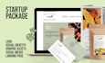 create logo and visual identity with landing page