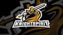 create a graphic logo mascot for your team