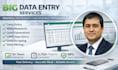 do big data entry and data analysis