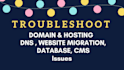 fix and troubleshoot domain hosting dns cpanel plesk issues
