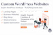 develop your wordpress website