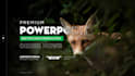 design custom powerpoint presentation and branded templates