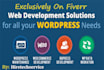 build fully optimized  wordpress website with custom features