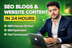 be your eye catchy SEO content writer who writes in 24 hours
