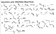 drill and transcribe pitman shorthand