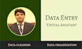do big data entry  data scraping in microsoft excel