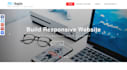do web design, programming in php,dot net,wordpress