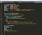 do web design, development and programming