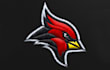 perfect embroidery digitizing in wilcom