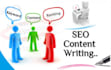 write blog content articles and website content on any topic