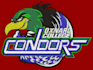 do best embroidery digitizing