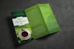 create tri fold brochure design in 24hrs