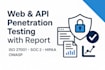 perform web and API penetration testing with  vapt report