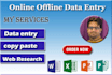 do data entry, data analysis for your business