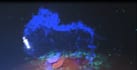 create lion spirit logo animation